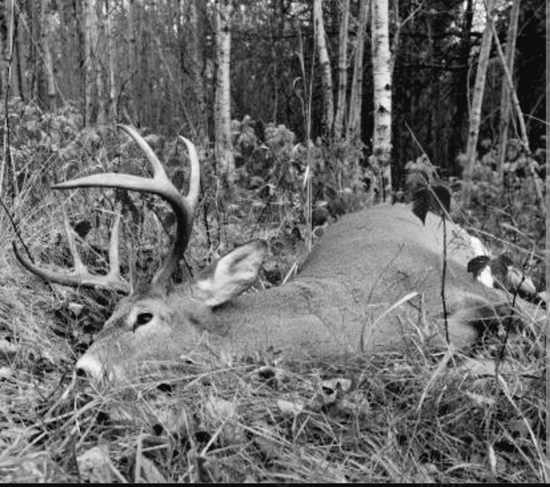 Backwoods Processing Gallery Image 5